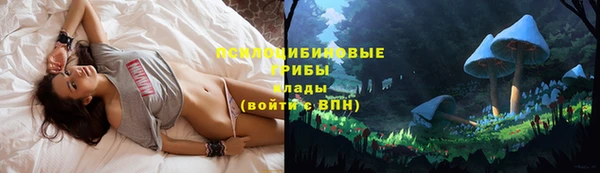 прущие крисы Елизово