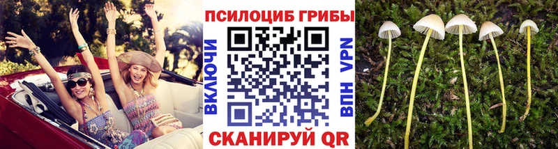 Галлюциногенные грибы Magic Shrooms  Купить закладки  Богучар 